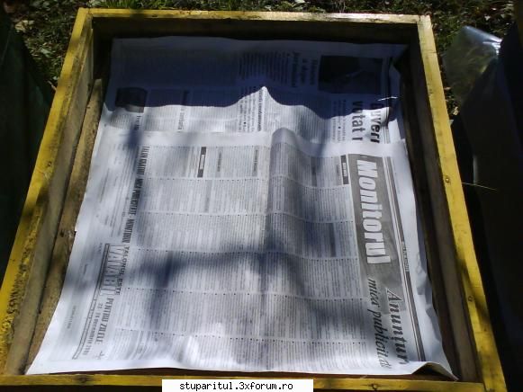 foto de la mine ... - f) 2 foi de ziar (de obicei prefera monitorul de - POZE