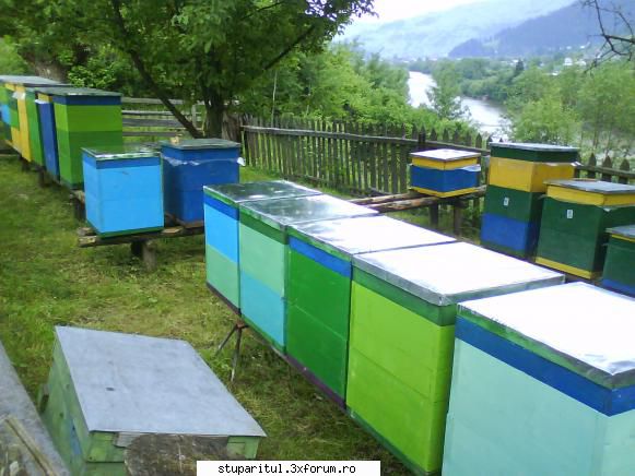 foto de la mine ... - Tot pe aceeasi vatra cateva familii care deja au - POZE