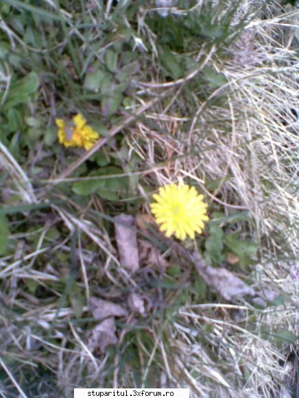 foto de la mine ... - jonny_it - POZE