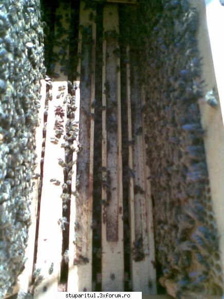 foto de la mine ... - ceva si in corpul de jos - POZE