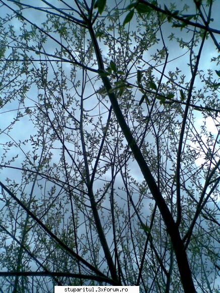 foto de la mine ... - jonny_it - POZE