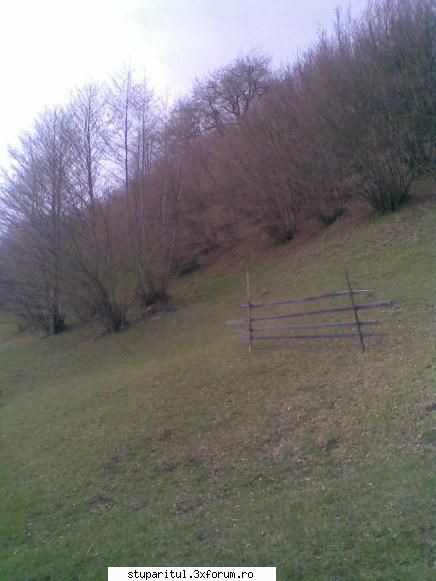 foto de la mine ... - alun, ... acum nu mai are polen :( - POZE