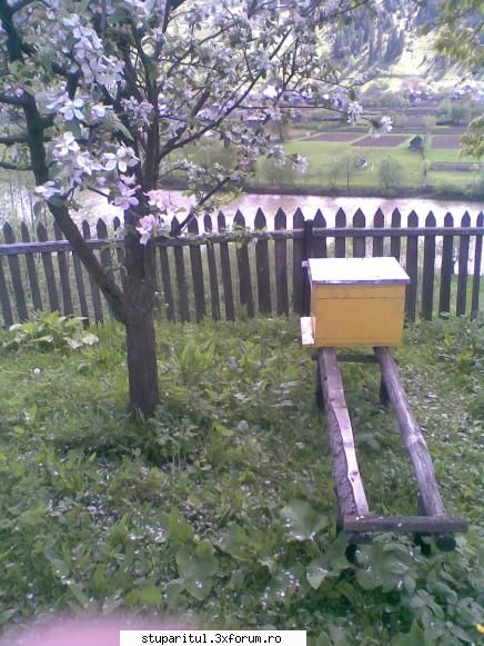 foto de la mine ... - ce a mai ramas si pe acolo - POZE