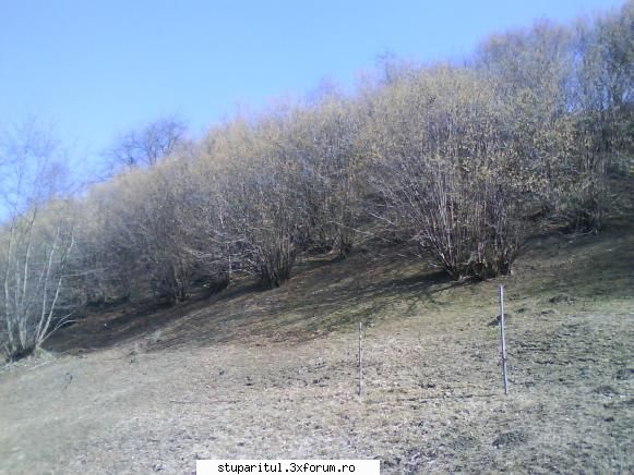 foto de la mine ... - S-a terminat cu atmosfera deprimanta, .. vine - POZE