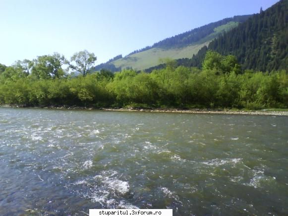 foto de la mine ... - Astazi Spunea pe forum domul Florin (pngflorin) - POZE