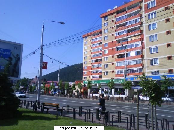 foto de la mine ... - Apicultorii in general prefera aerul curat si - POZE