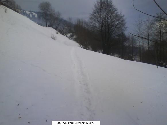 foto de la mine ... - Scurtatura catre vatra respectiva - POZE