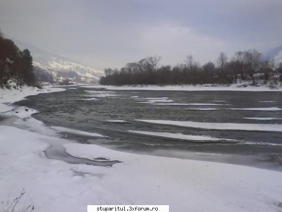 foto de la mine ... - Valea Bistritei 2 - POZE