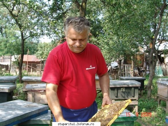fotografu janese - stuparu portocalei - POZE