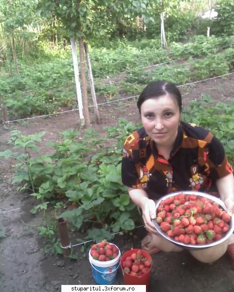 gabi bee - sotia la adunat de capsuni - PAGINI PERSONALE ! CINE SUNT EU ?