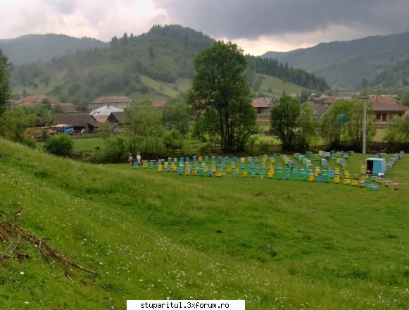 genutzu/ neamt/ - Alta , in aceeasi locatie - PAGINI PERSONALE ! CINE SUNT EU ?