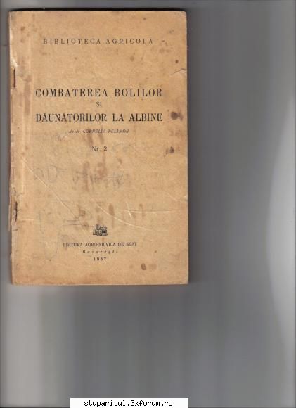 gustul amar al inceputului - Alecs - ASA NU ! POVESTI ADEVARATE !