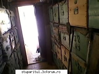 hop si eu ! - dori 33 - PAGINI PERSONALE ! CINE SUNT EU ?