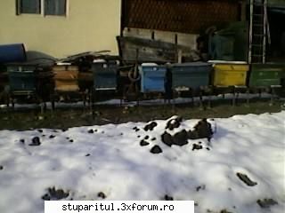 hop si eu ! - dori 33 - PAGINI PERSONALE ! CINE SUNT EU ?