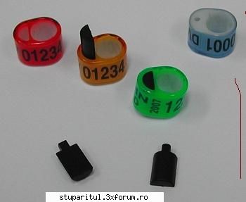 identificarea stupilor - sper ca am gasit rezolvarea pt.poza - DISCUTII APICOLE DIVERSE