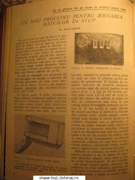 iernarea matcilor in afara stupului - "nihil novi sub sole" cautand "aproape" iata - INTRETINEREA ALBINELOR