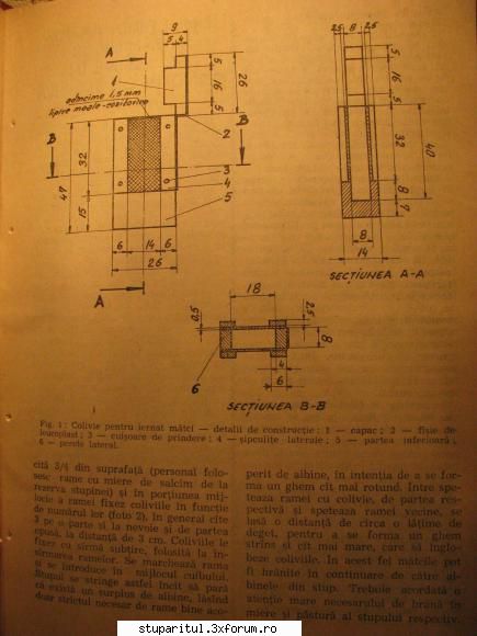 iernarea matcilor in afara stupului - pedro - INTRETINEREA ALBINELOR