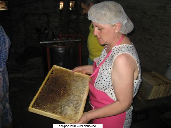 in vizita la Janes - greu e doamne ......lucru cu albinutele - POZE