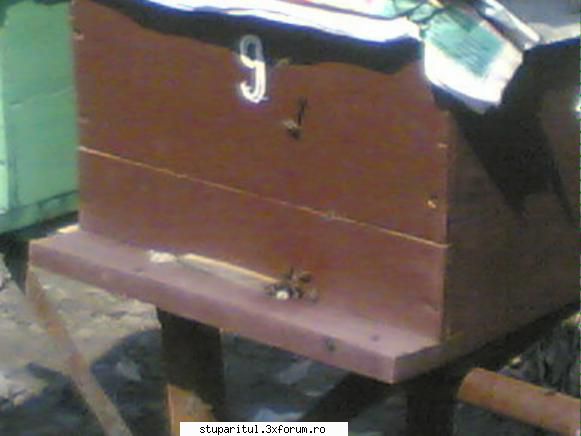 incepator in apicultura-jurnal la revizii - moshu6 - JURNAL DE APICULTOR - JURNALE PERSONALE