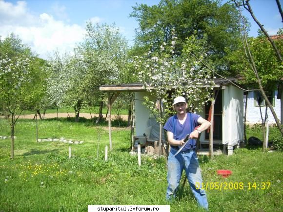 incerc - martanul - POZE