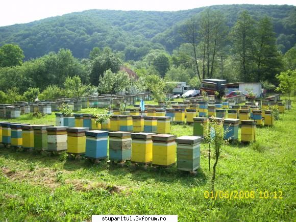 incerc - martanul - POZE