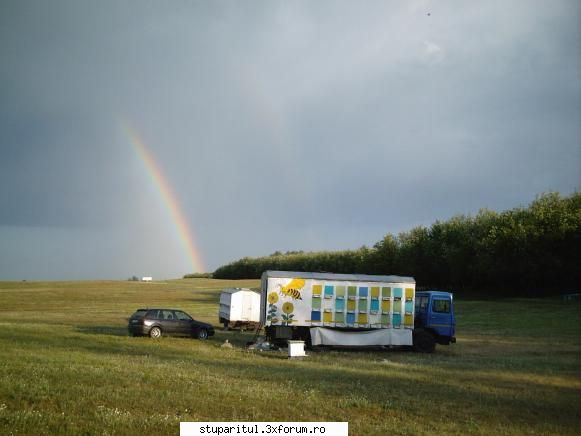 inmatriculare camion ca autopavilion - Salut ,PDG Am astfel de masina ,se - ECHIPAMENTE SI UTILAJE APICOLE