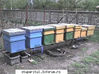 instalare caturi - mihaiykn - INTRETINEREA ALBINELOR