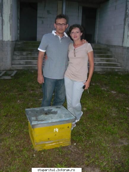 intrebare stuparit - nu stiu nimic despre albine :( - Nucleu - PAGINA APICULTORULUI INCEPATOR