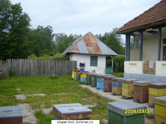 ionut - salcam 1 +salcam 2=14kg\familie - PAGINI PERSONALE ! CINE SUNT EU ?