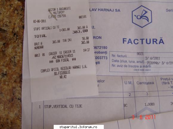 lada ideala - am zis mai sus, singura problemă. ar mai fi - INTRETINEREA ALBINELOR