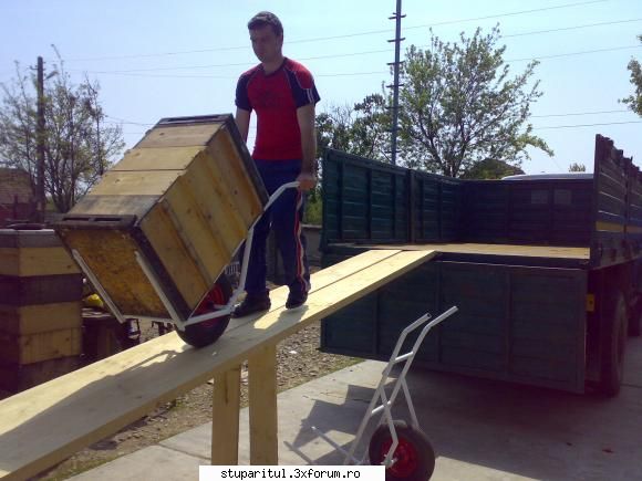lisa transport stupi verticali - Asta-i lisa ... sa traiesti Pupe :) - ECHIPAMENTE SI UTILAJE APICOLE