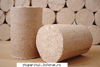 materialul pentru fumigatii - Brichetele de rumegus se produc in instalatii - INTRETINEREA ALBINELOR