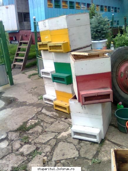 matrita manere - mar interesa si pe mine niste cleme de fixare a - ECHIPAMENTE SI UTILAJE APICOLE