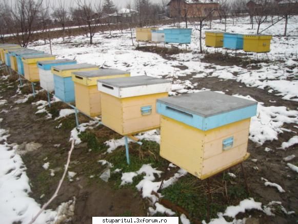 matrita manere - frantescu - ECHIPAMENTE SI UTILAJE APICOLE