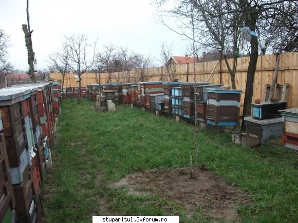 multietajat cu rame de 15 cm - kiloz - POZE