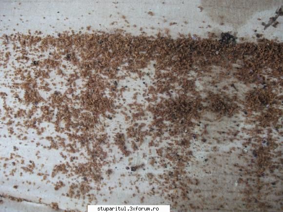 multietajat cu rame de 15 cm - kiloz - POZE