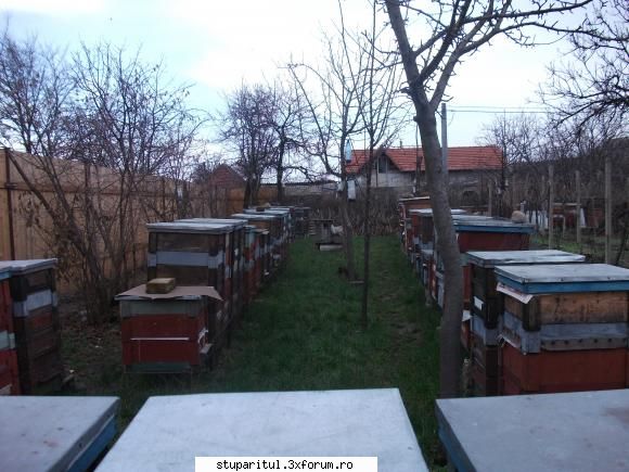multietajat cu rame de 15 cm - kiloz - POZE