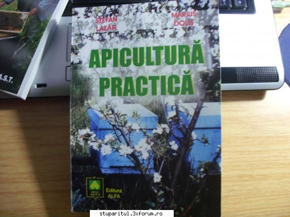 �ncă un �ncepător - și 2.... :) - POZE