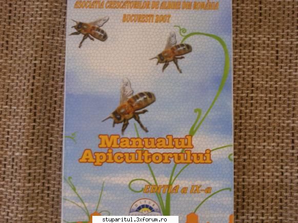�ncă un �ncepător - iarna asta am invatat :) - POZE