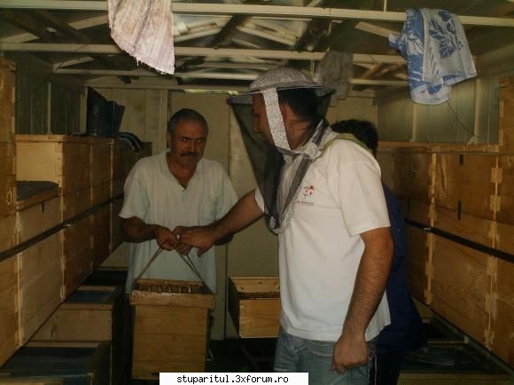 neculai.luca - Incerc sa gasesc si ceva poze.N-au fost facute - PAGINI PERSONALE ! CINE SUNT EU ?