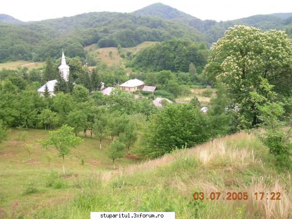 neculai.luca - O mica panorama ( in dreapta se vede castanul - PAGINI PERSONALE ! CINE SUNT EU ?