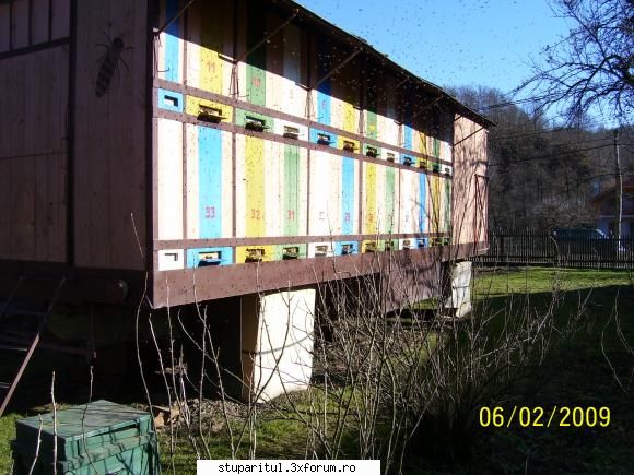 neculai.luca - neculai.luca - PAGINI PERSONALE ! CINE SUNT EU ?