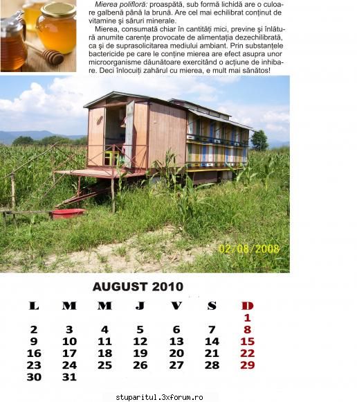 august