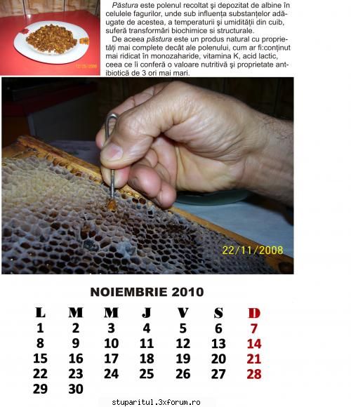noiembrie