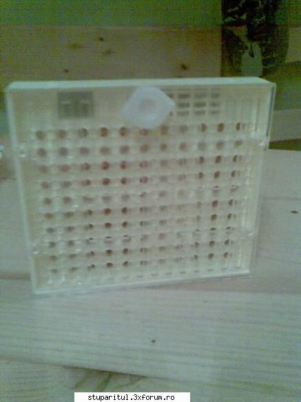 nou - cutie din plastic fata - ECHIPAMENTE SI UTILAJE APICOLE