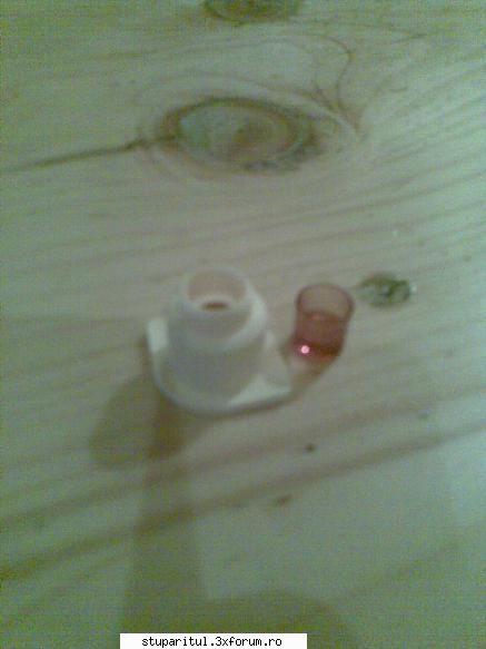 nou - celula si dopul de fixare pe rama - ECHIPAMENTE SI UTILAJE APICOLE