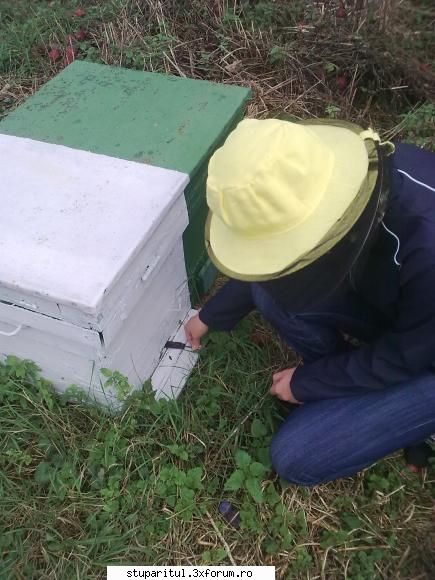 nou in bransa - ultimul tratament cu varachet forte - am mai - PAGINI PERSONALE ! CINE SUNT EU ?