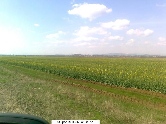 noul forum STUPARITUL - stati ca baba la soba!!!!astia care traitzi din - BATTLEFIELD - CAMP DE LUPTA