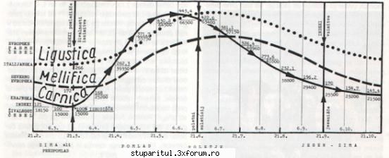 o intrebare ......... - Un studiu comparativ al dezvoltarii pe timp de un - CRESTEREA MATCILOR