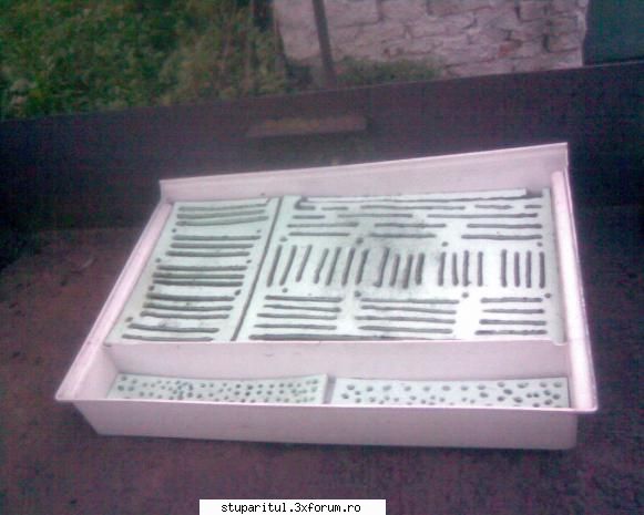 ...o intrebare de incepator...nu zimbitzi...! - Simi_85 - PAGINA APICULTORULUI INCEPATOR